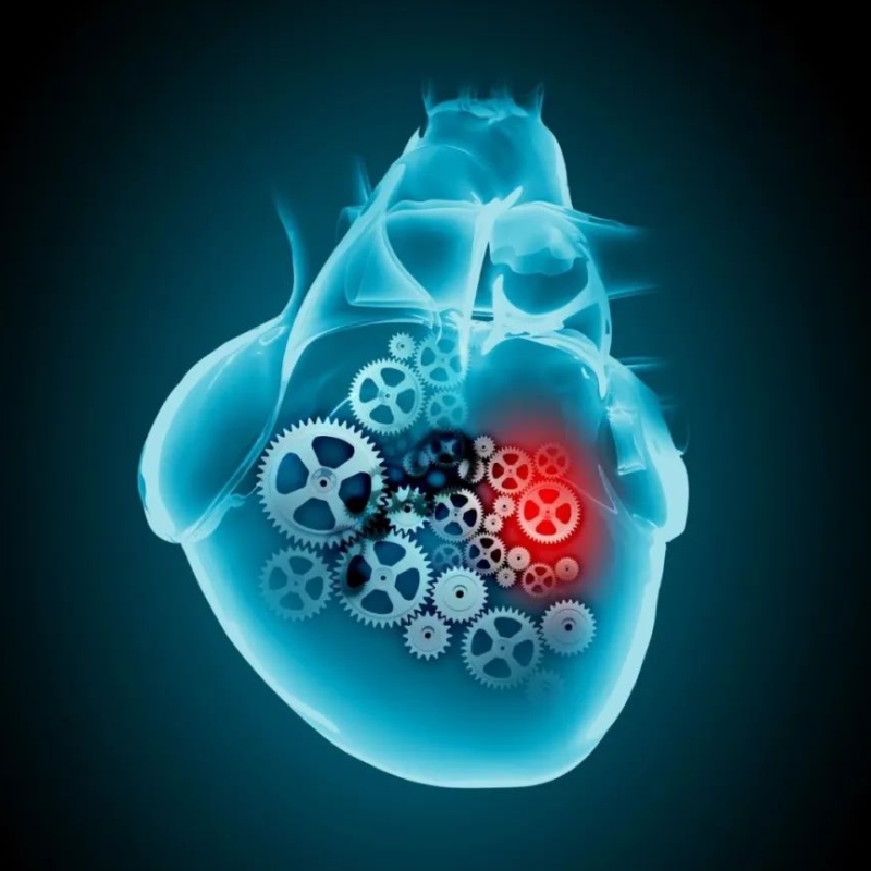 Research progress of NAD+ in the treatment of cardiovascular diseases